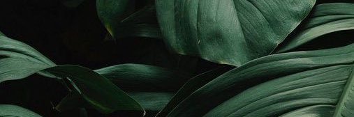 Isaacmatoss's profile banner image
