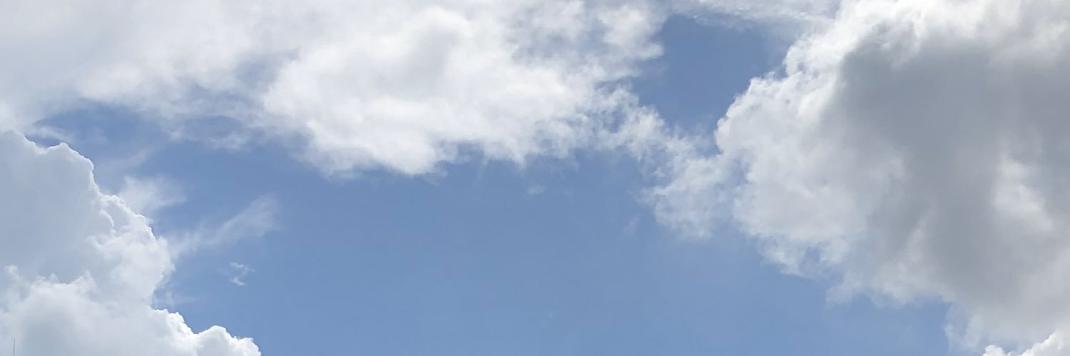 undershirtwhite's profile banner image