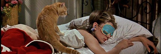 thestormwithin banner