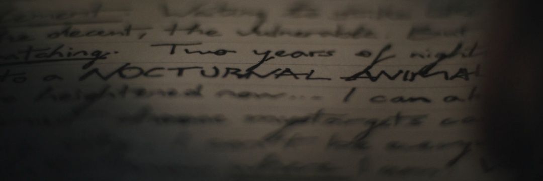 riverdcaprio's profile banner image