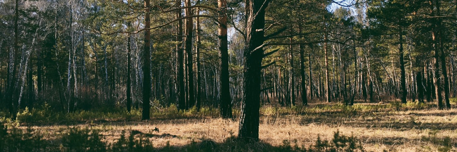 miltyjj25's profile banner image