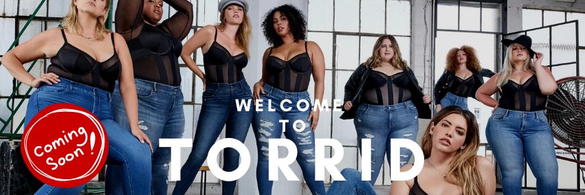 Cornwall Centre banner