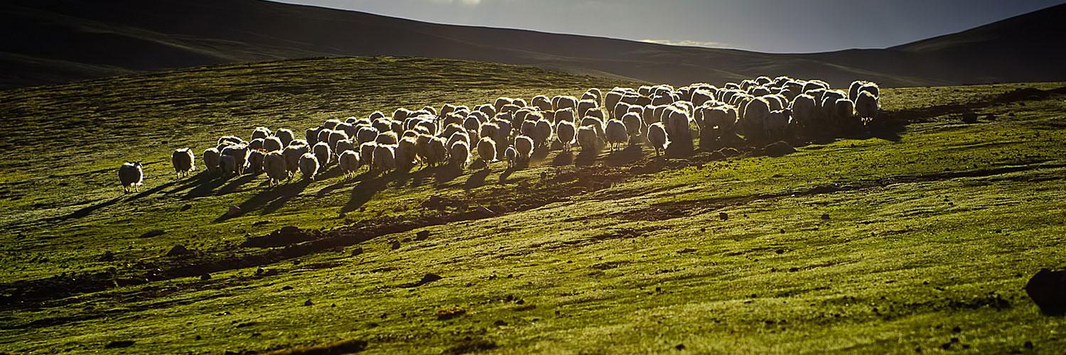 Кузьмин banner