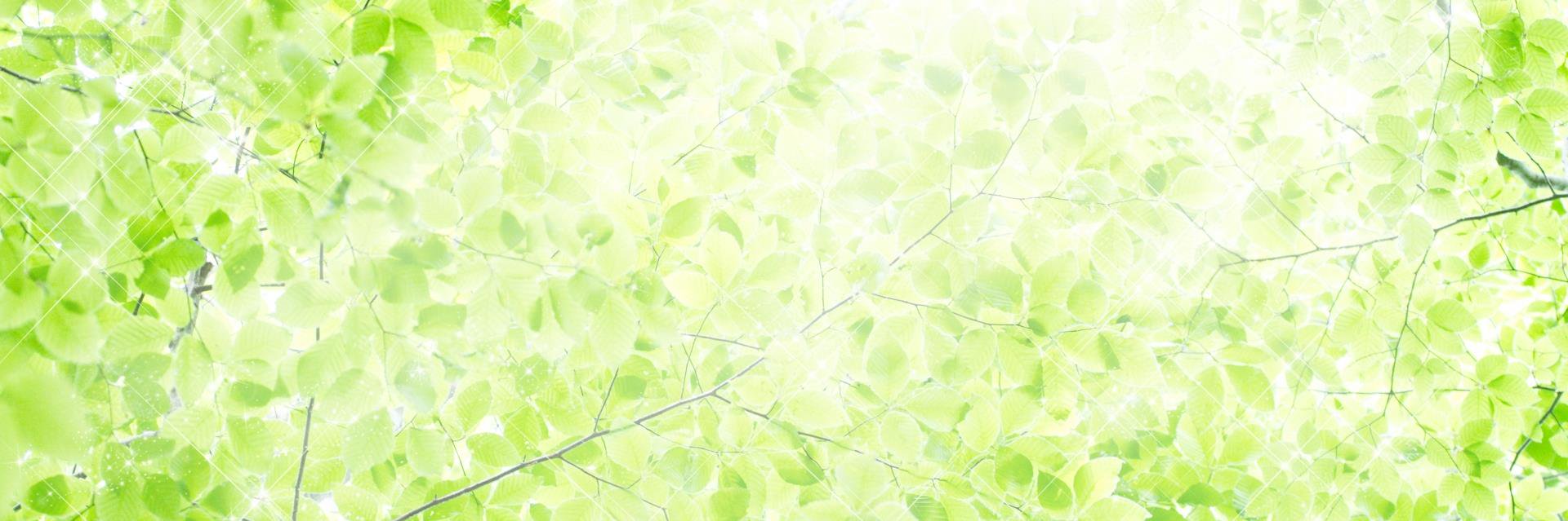 ラトックシステム【公式】🎁プレゼントキャンペーン実施中's banner