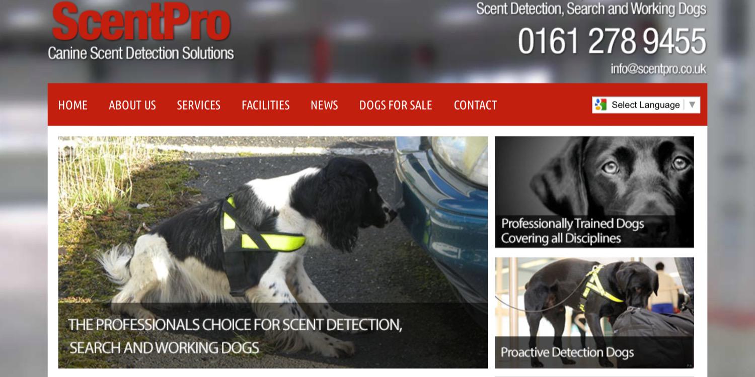 ScentPro's profile banner image