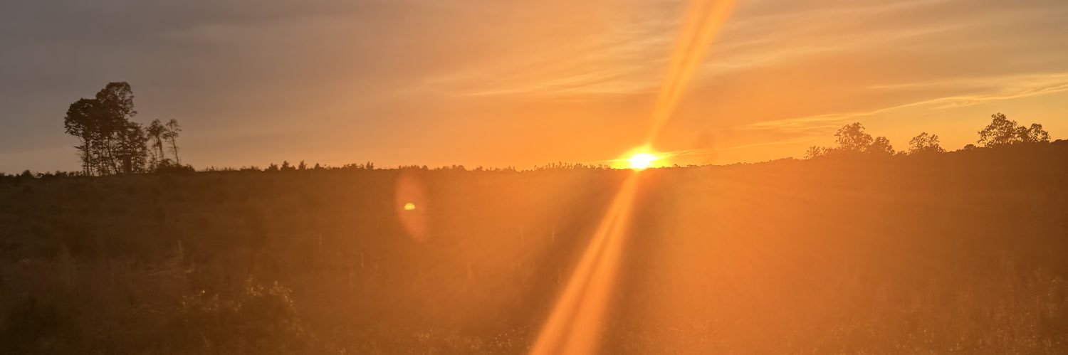 tayblck's profile banner image