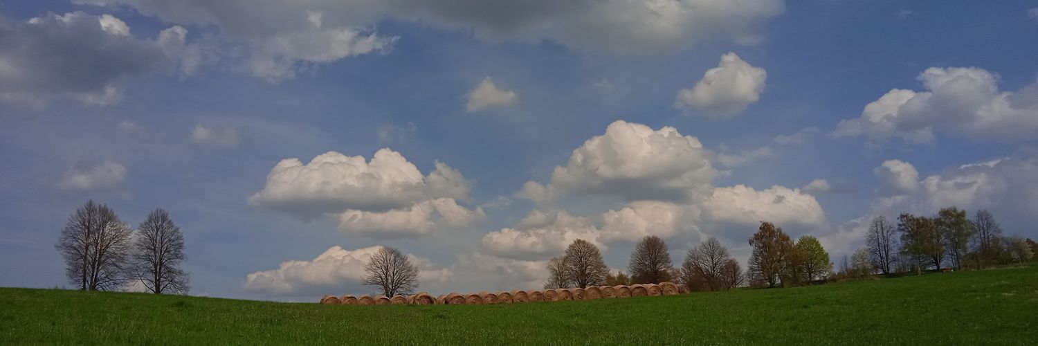 terakopecka's profile banner image