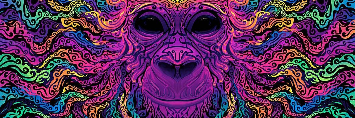 senapito's profile banner image