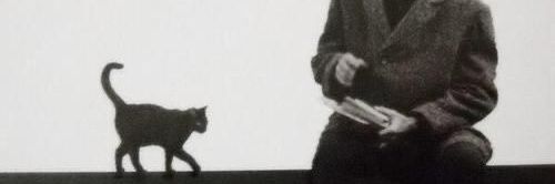 P banner