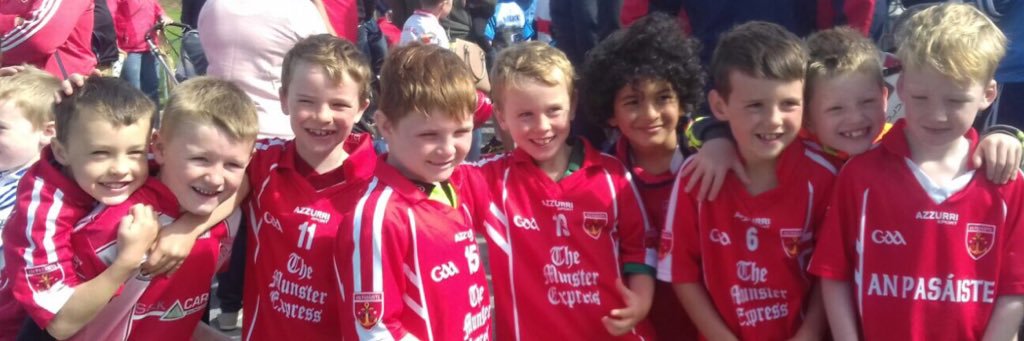 Passage Hurling Club banner