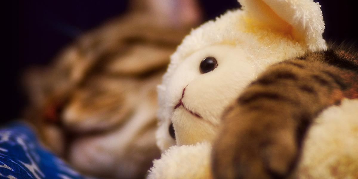 tchutchu's profile banner image