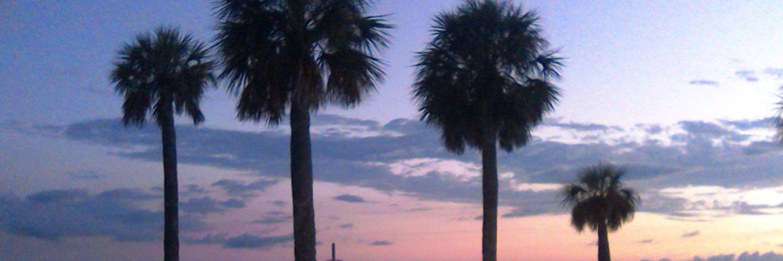 AbshearTammy's profile banner image