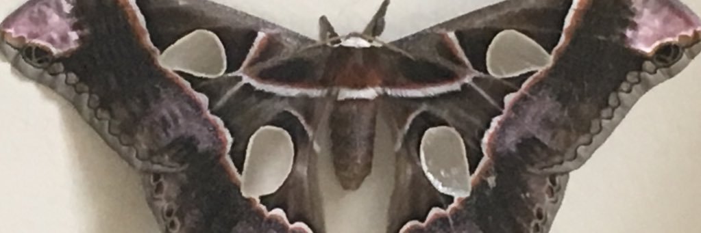 eidag5's profile banner image