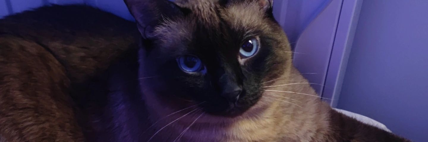 odenjoclo's profile banner image