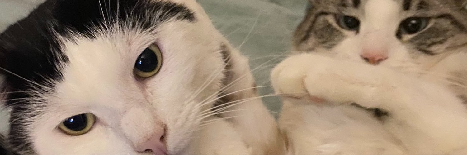 sarouberry's profile banner image