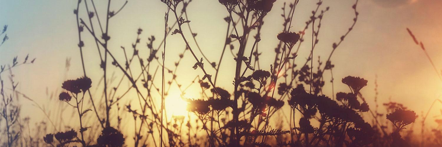 Костин   Владислав banner