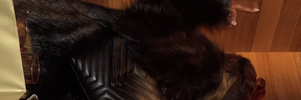 ashshatell's profile banner image