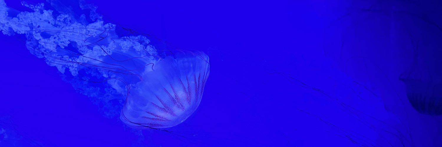 Florent Wabont banner