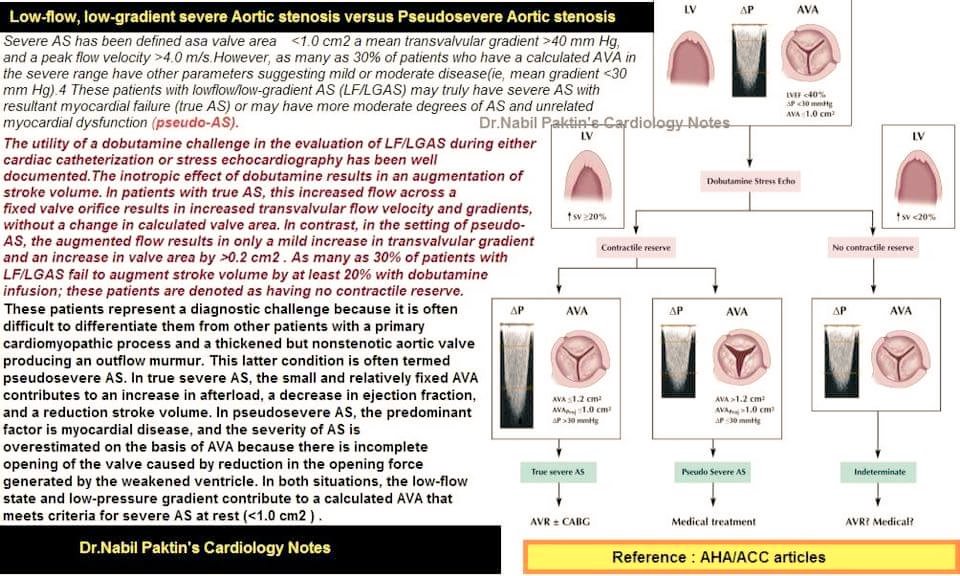 Structural Heart banner