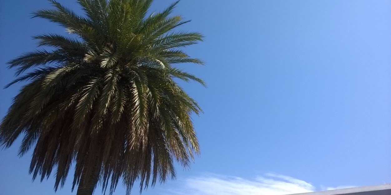 JasmineSenior's profile banner image