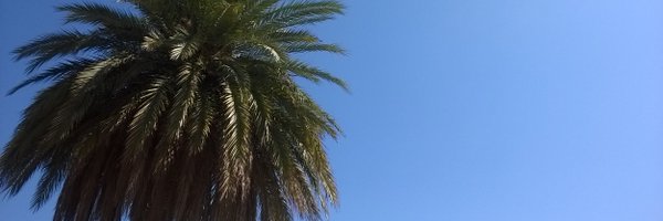 JasmineSenior Profile Banner