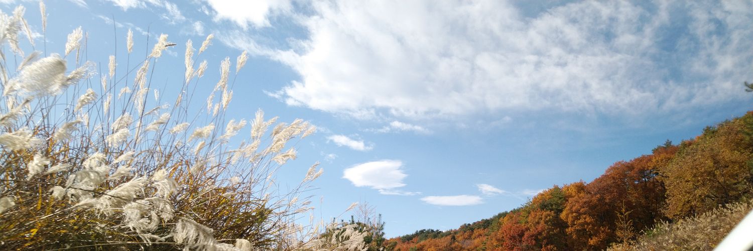 dancingnight_mi's profile banner image