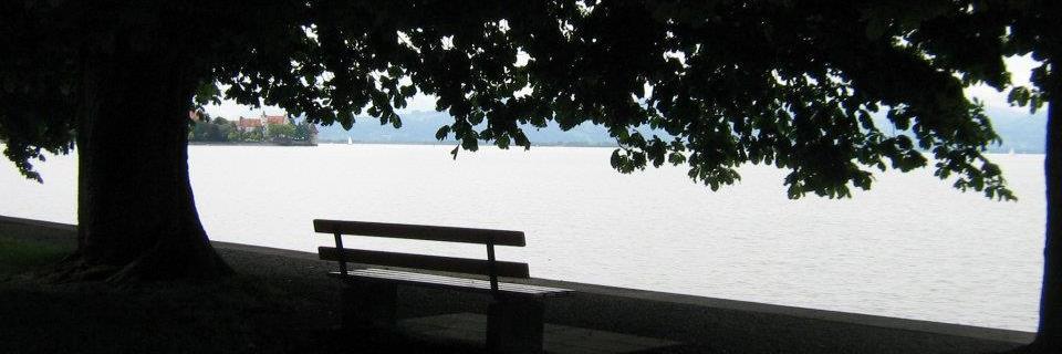 ChiaraMoraca's profile banner image
