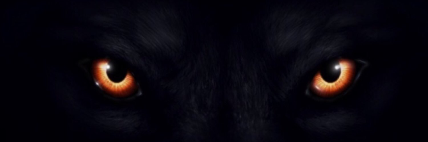 Shelt Jr™🦍 banner