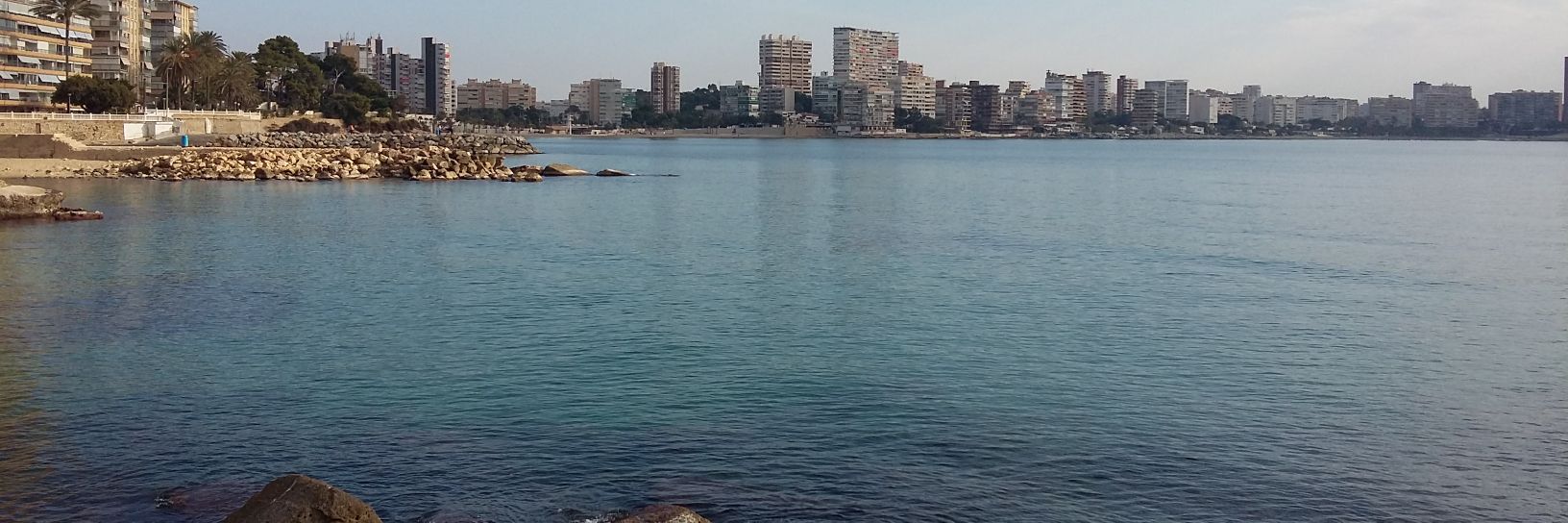 ChicoLiberal84 banner