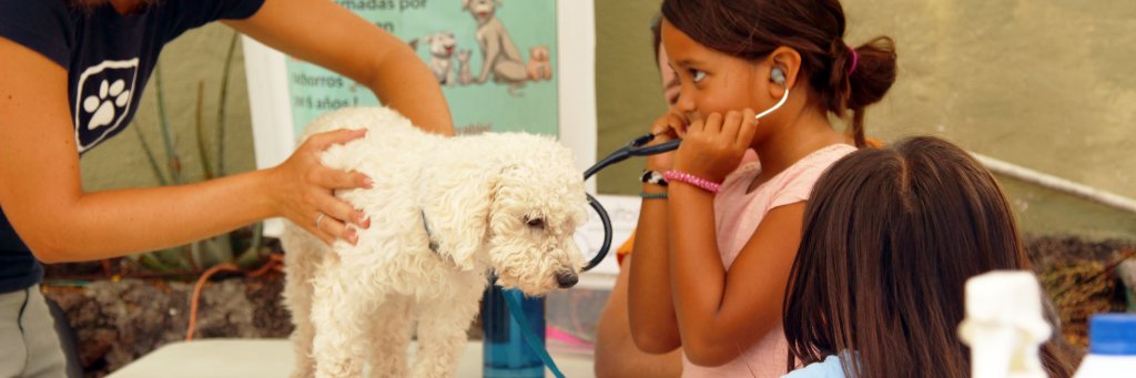 DarwinAnimalDoc's profile banner image