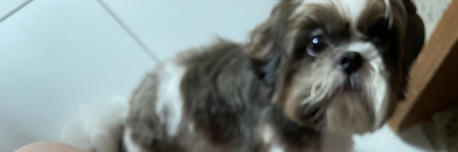 thegr8lu's profile banner image