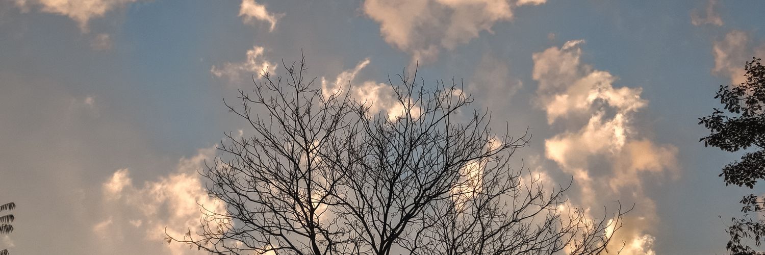 OctAzis's profile banner image