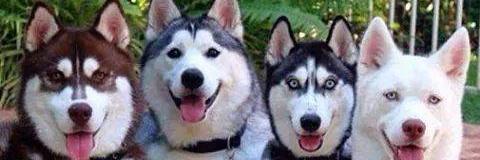 mogab_nar's profile banner image