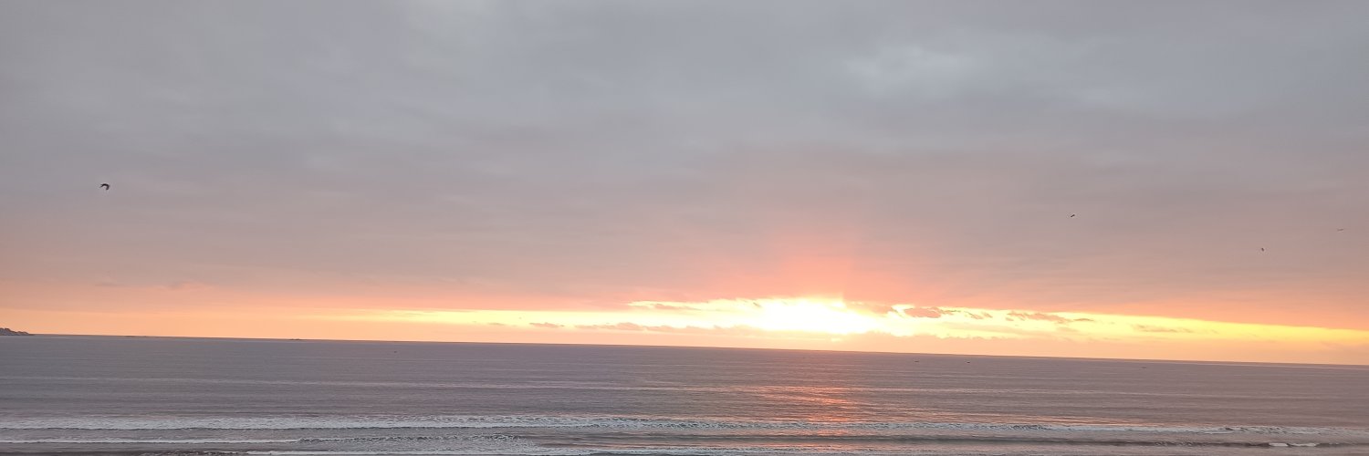 respindola5's profile banner image