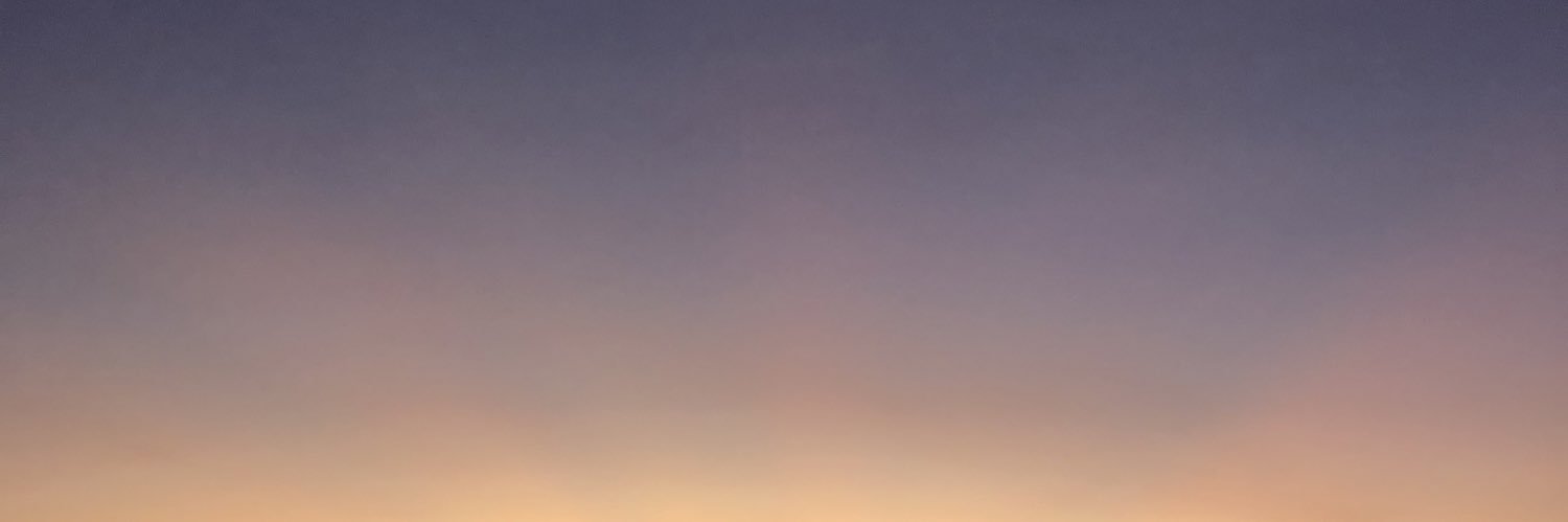 alicestter's profile banner image