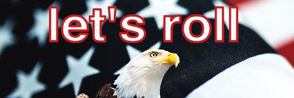 Skippy Stone - Rollin on banner