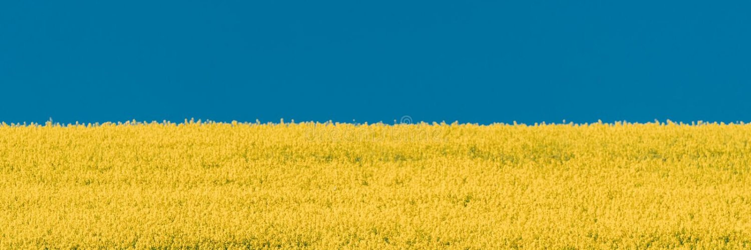 ThFreil's profile banner image