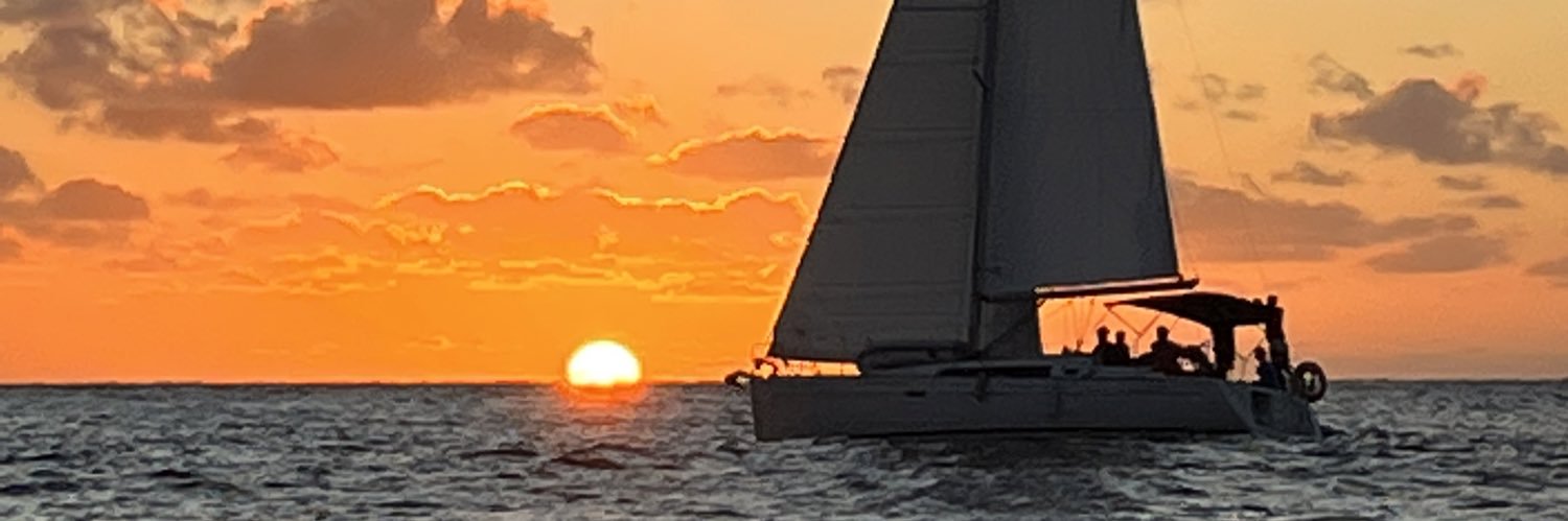 catalagger's profile banner image
