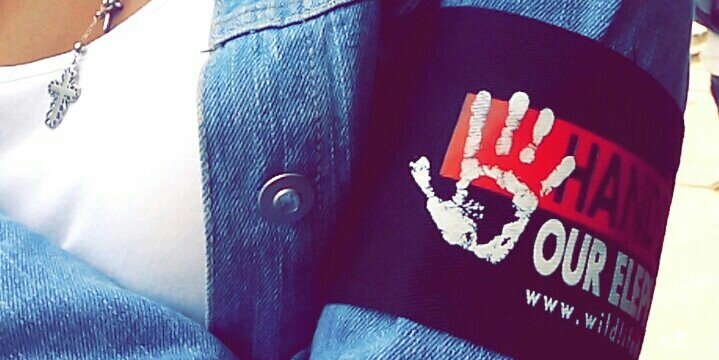 humanflamingo_'s profile banner image