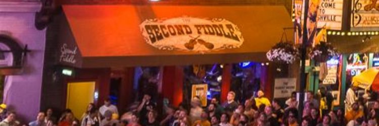 The2ndFiddle's profile banner image