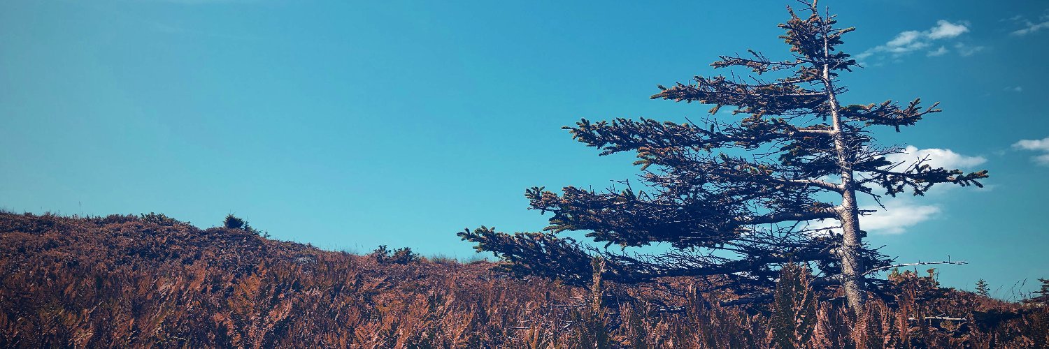ShaysSax's profile banner image