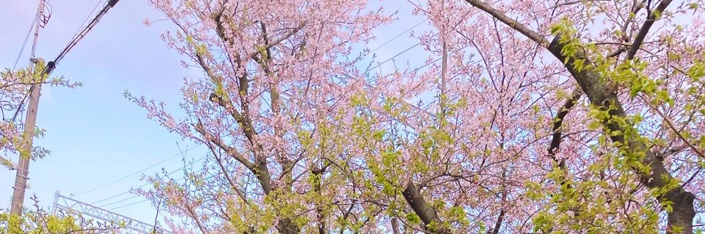 tbrm121's profile banner image