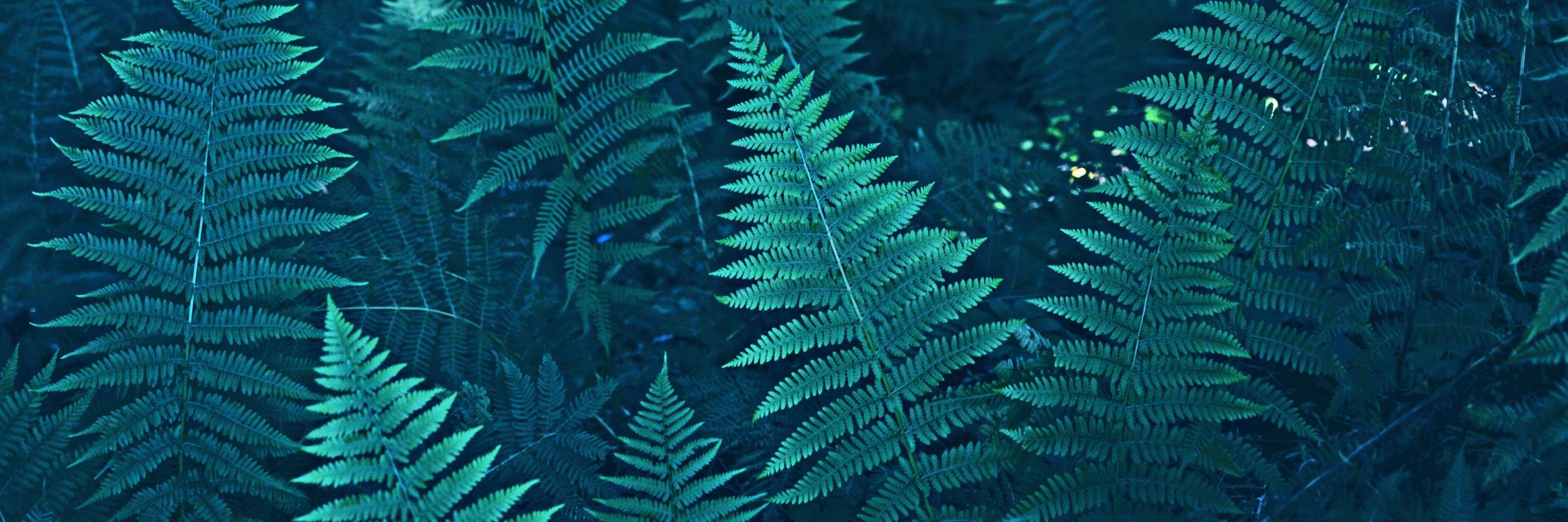 corbyx61's profile banner image