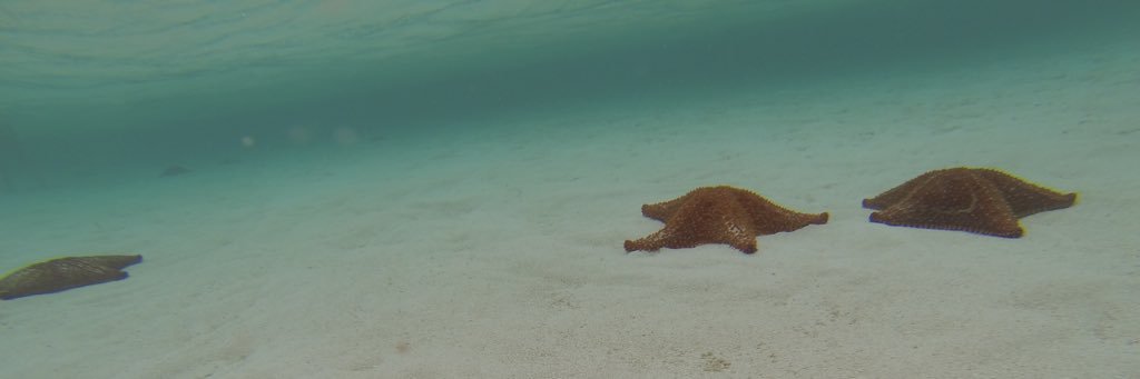 LMillerDesign's profile banner image