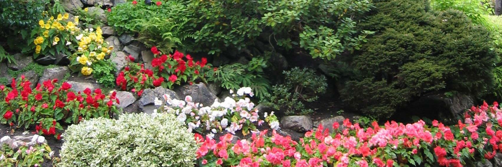 janet_borghi's profile banner image