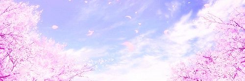 Saneyya_naveed's profile banner image