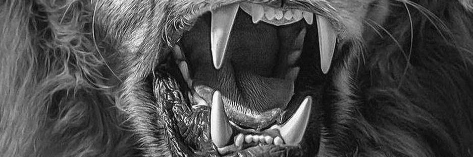 DonAntoneo's profile banner image