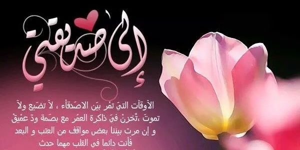 d92c28743cb24ef's profile banner image