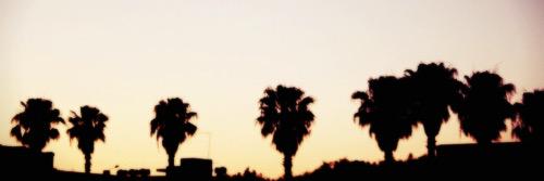 CalescentFlare's profile banner image