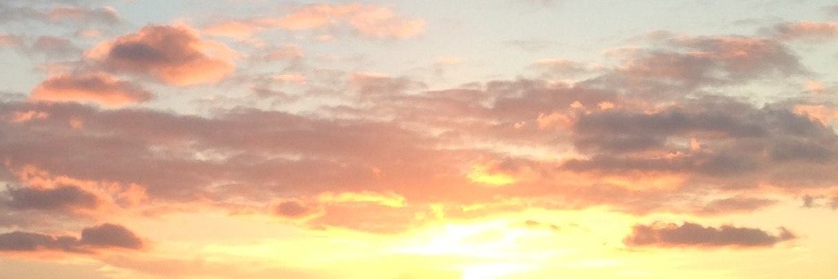 Dr Jennifer Nasser (PhD, RD) banner